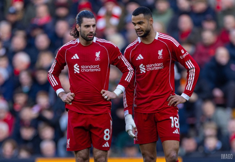 Champions League: Liverpool nhìn chung vẫn đang được đánh giá cao